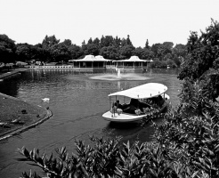 Busch Gardens 1967